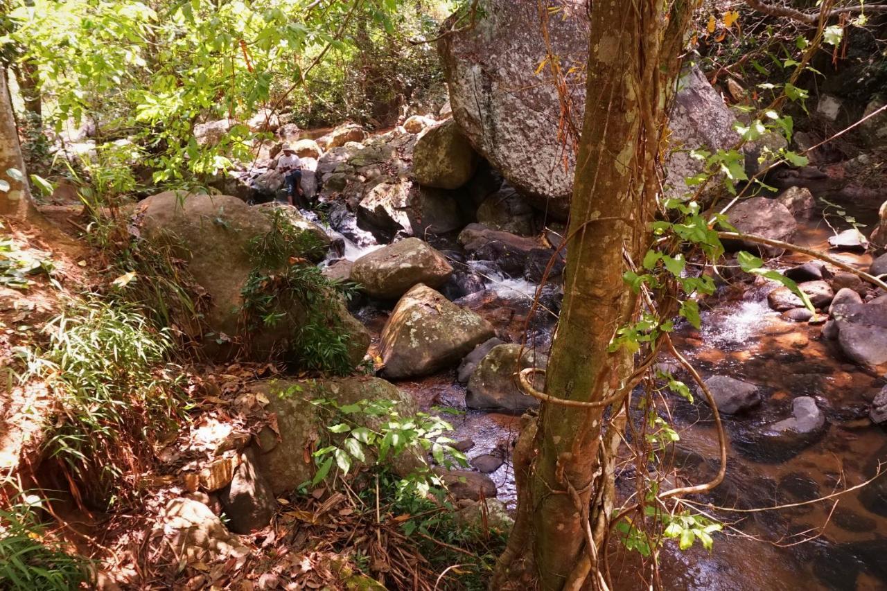 Retiyagama Eco Resort Teldeniya Εξωτερικό φωτογραφία