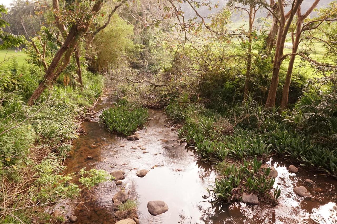 Retiyagama Eco Resort Teldeniya Εξωτερικό φωτογραφία
